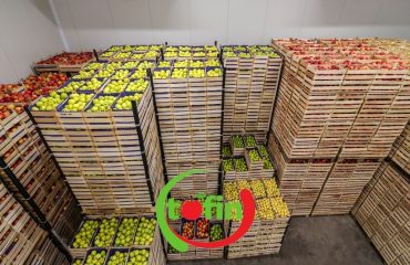 Meyve ve Sebze Kurutma Tesisi