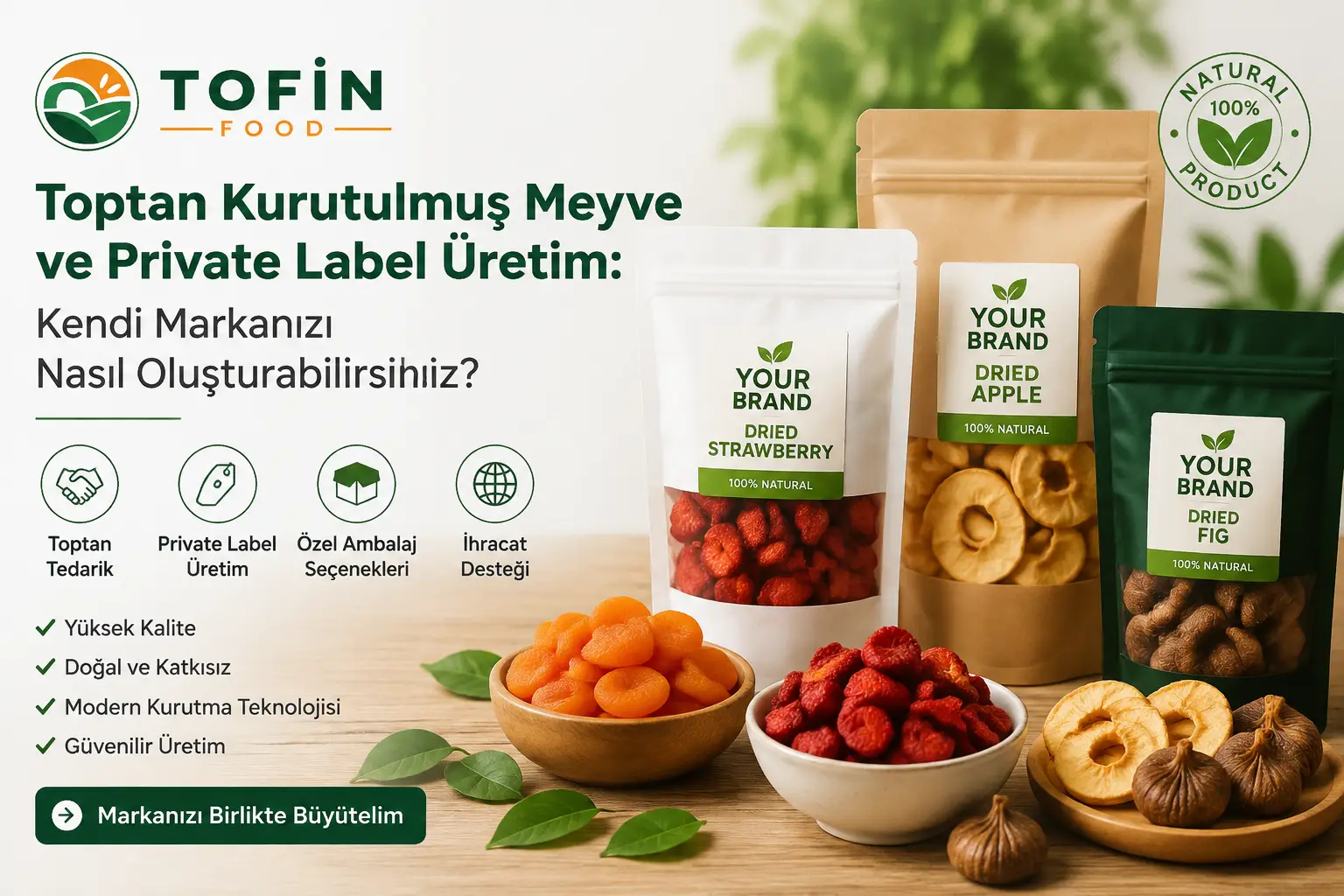 toptan kurutulmuş meyve