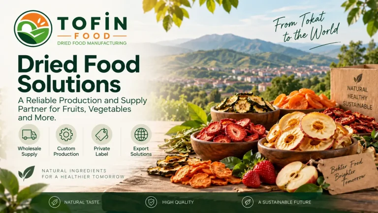 dried food solutions