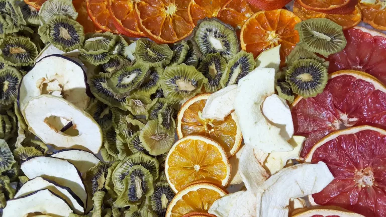 dried food products